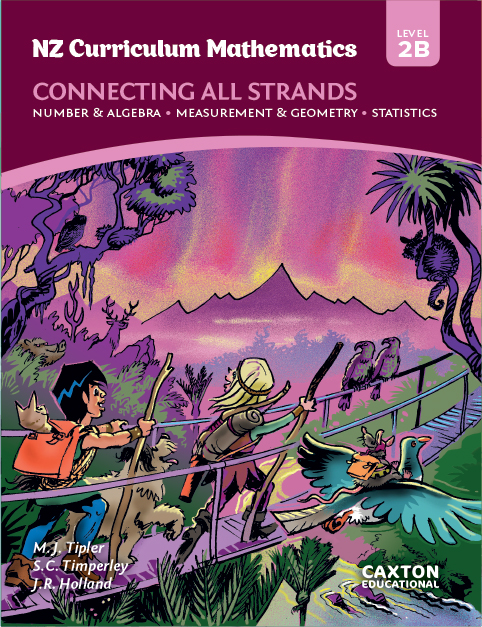 NZ Curriculum Mathematics - Connecting All Strands, Level 2B, NZ Maths Book